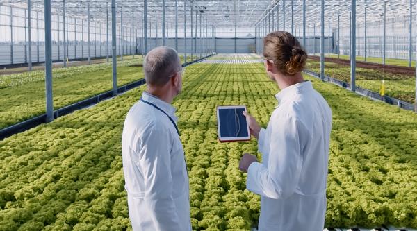 Researchers overlooking crops and table
