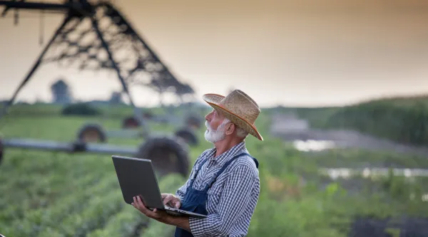 Une personne dans un champs en train de consulter son ordinateur