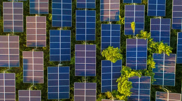 Draufsicht auf Solarmodule in einem Solarpark mit grünen Bäumen