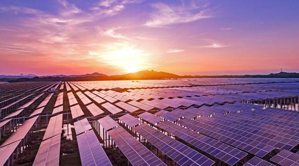Solar Farm at sunset
