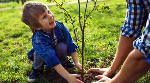 young boy plants sapling tree with an adult