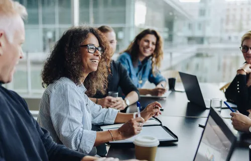 Professionals in a meeting