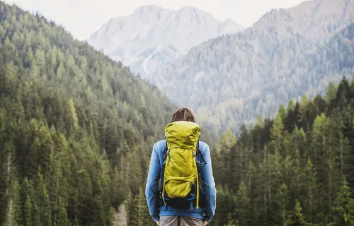 En vandrare med ryggsäck framför en stor skog