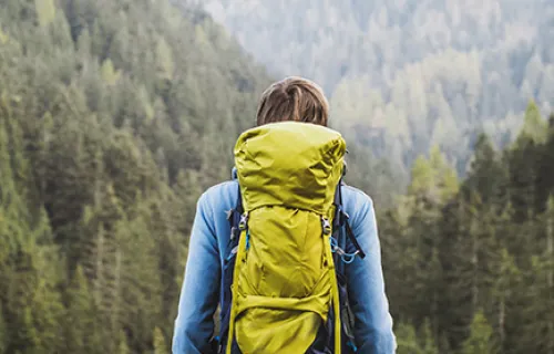 En vandrare med ryggsäck framför en stor skog