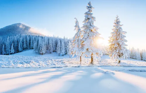 Winter landscape