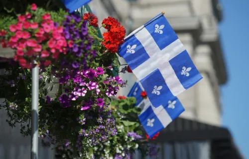 Flag of Brussels