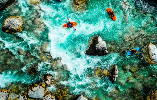 les-rendez-vous-du-conseil-alimentation-et-agriculture