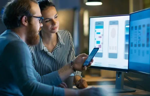 Enterprise software delivery