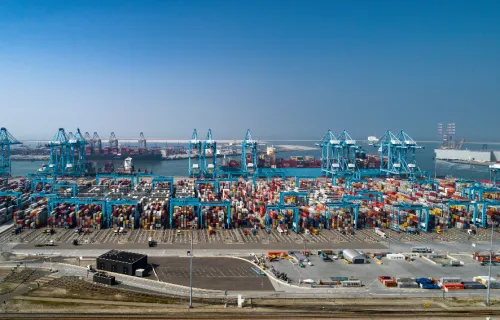 container terminal in the Rotterdam harbor