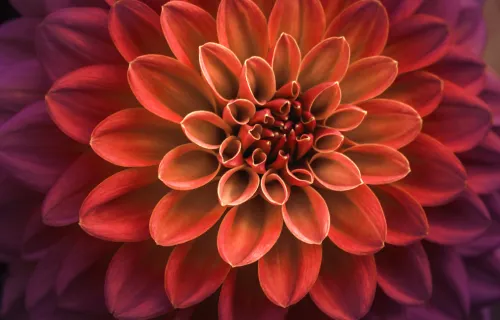 AWS Well Architected