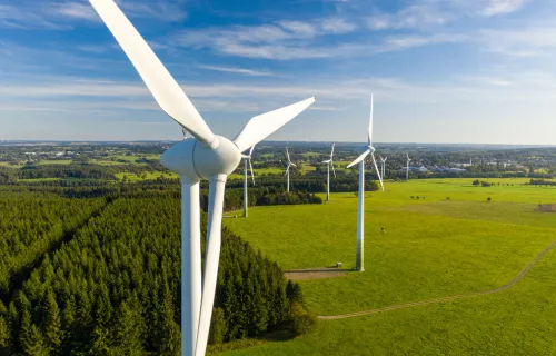 Multiple windmills in the field