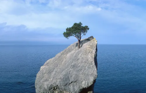 Resilience beyond IT