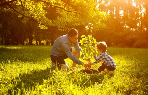 Adult and child planting a tree on a sunny day