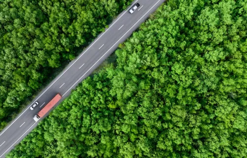 Luftaufnahme einer Straße durch dichten Wald als visuelle Metapher für Orientierung, Struktur und Steuerung in komplexen Daten- und KI-Landschaften