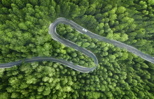 Luftaufnahme einer kurvigen Straße durch einen Wald als Symbol für Augmented Reality im…