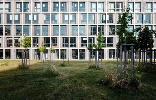 Husfasad på kontorsbyggnad täckt av fönster, sett från grönskande gräsmatta utifrån