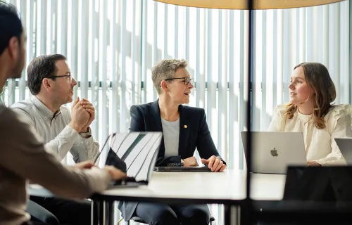 Consultants CGI Business Consulting