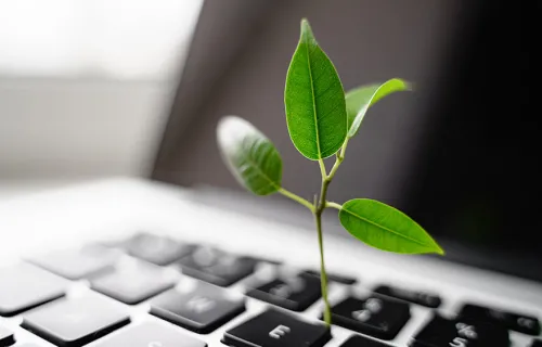 Planta som växer från ett tangentbord på en laptop
