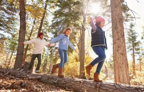 Niños divirtiéndose y haciendo equilibrios sobre un árbol en un bosque otoñal