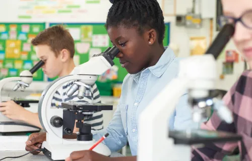 Children look into microscopes