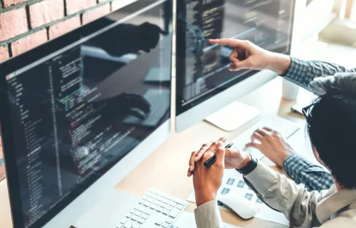 Consultant points to computer screen