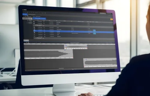 consultant looking at data on computer screen
