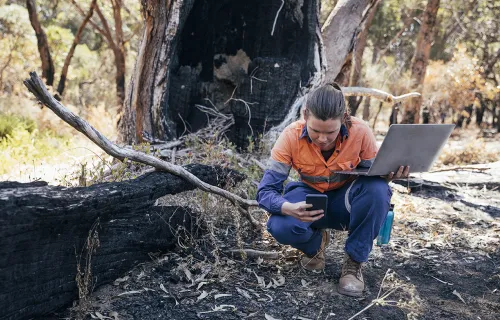 Person in nature with laptop making assessments