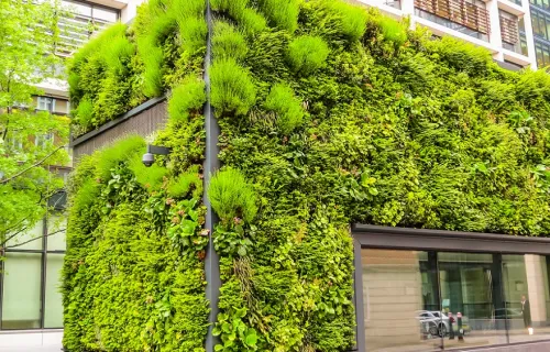 Kontorsbyggnad täckt i gröna växter i en stad