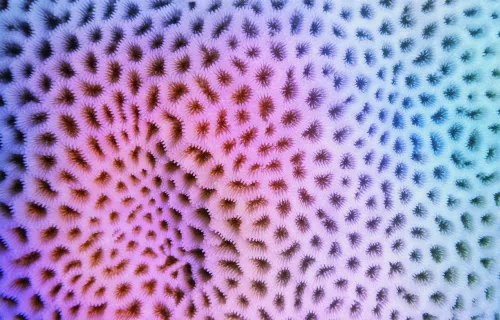 Crochet abstract view