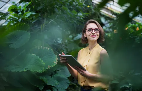 Person with tablet looking at plants in a greenhouse