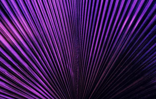 Abstract image of purple leaf