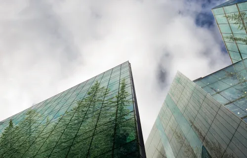 Reflets d'arbres dans des buildings