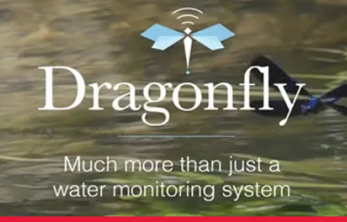 Dragonfly – Plus qu’un simple système de gestion des eaux