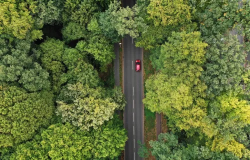 Autoroute avec une voiture rouge traversant une forêt