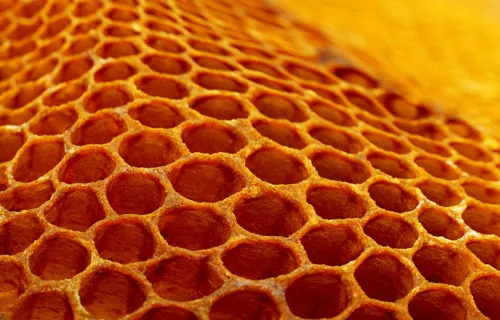 Honeycomb