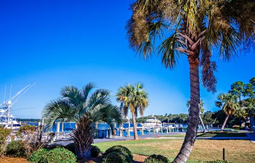 View of a boat marina and palm trees on Kiawah Island, SC