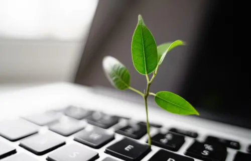 laptop with a green plant growing out of the keyboard