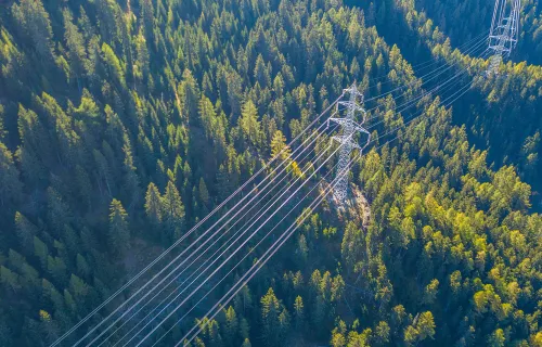 Strømnett i skogslandskap