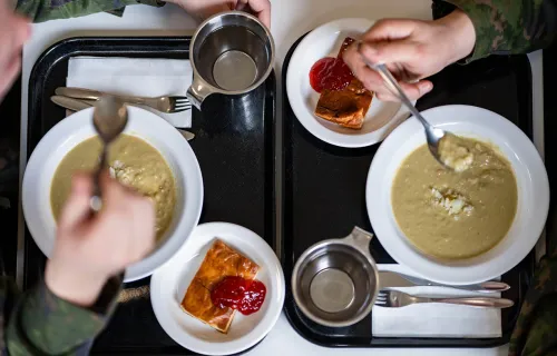 Leijona Catering vastaa ruokapalveluista Puolustusvoimille, Rikosseuraamuslaitokselle sekä…
