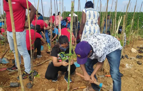 Les employés de CGI aident à planter des arbres, représentant nos efforts de bénévolat ESG