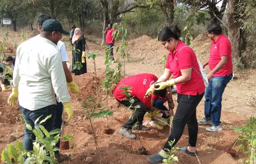 Volunteers helps on planting sapling