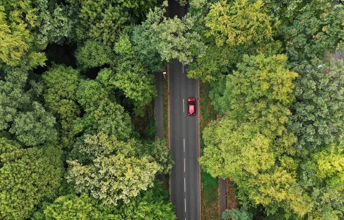 aerial view of a car driving on a road between many green trees