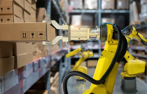 Robotic Palletizer for stacking carton boxes