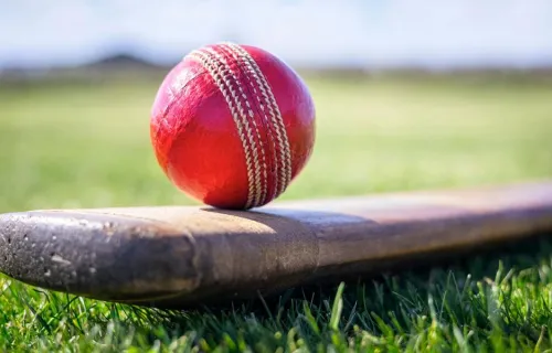 cricket ball resting on cricket bat in field