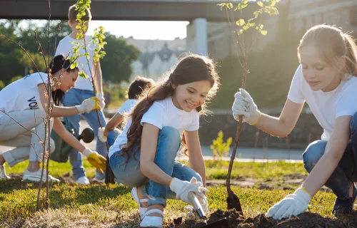 children planting trees on a sunny day