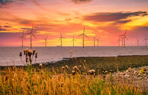 offshore wind turbines at sunset viewed from a field