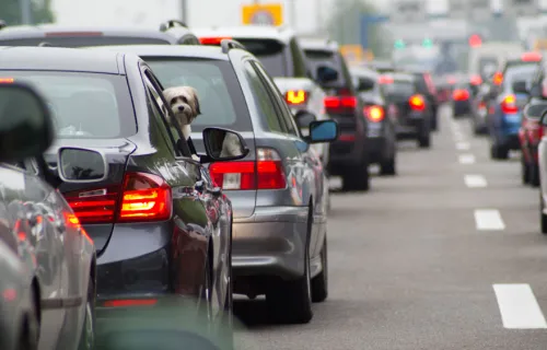 Hoog tijd om spitsmijdingsprojecten op te schalen