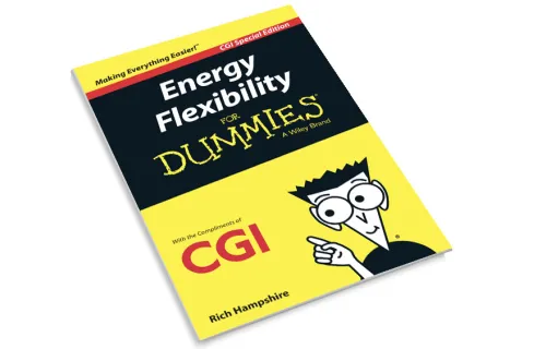 Front cover of the CGI Energy Flexibility for Dummies