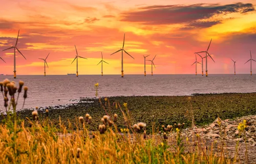 offshore_wind_turbines_at_sunset_viewed_from_a_field