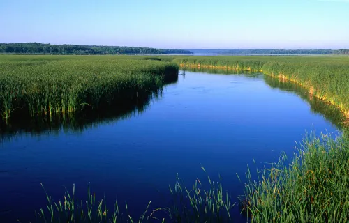 blue lake in green grasses